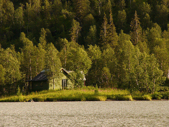Svartisen