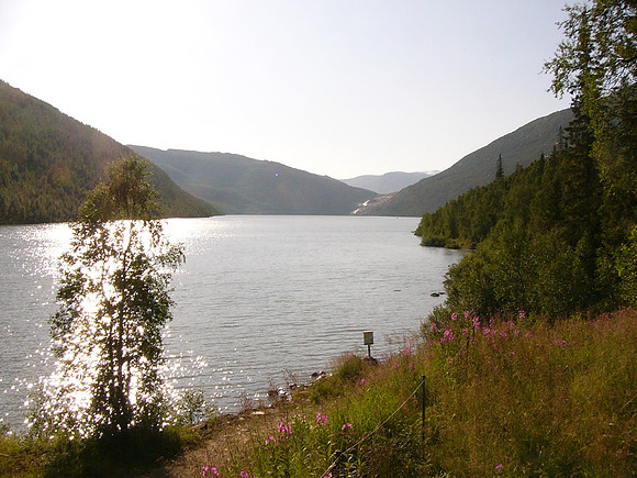 Svartisen